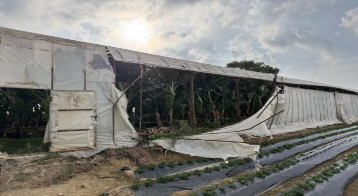 Bozyazı’da Hortum Seraları Vurdu: Üreticiler Çaresiz