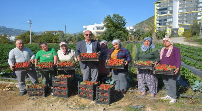Ziraat Odası Başkanı Gümüş’ten Mısır Çileği Tepkisi: “Üreticinin Emeğine Darbedir”