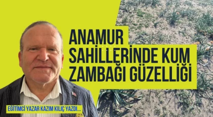 Anamur Sahillerinde KUM ZAMBAĞI Güzelliği