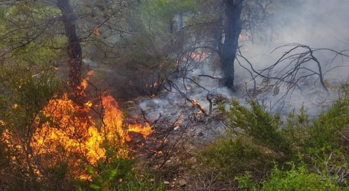 Anamur'da Ormanlık Alana Yıldırım Düşmesinin Ardından Yangın Çıktı