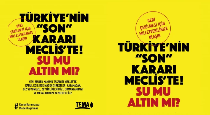 TEMA Vakfı’ndan Anamur Halkına Çağrı: “Zeytinlikler Tehlikede, Ses Verin!”