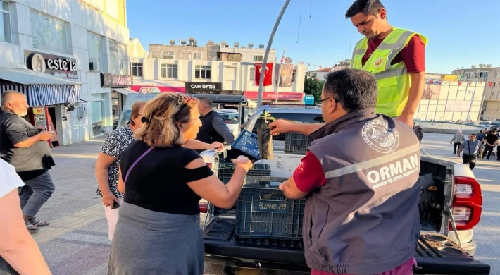 Anamur’da Üretimin ve Bereketin Simgesi Adına Dağ Çayı Fidanı Dağıtıldı