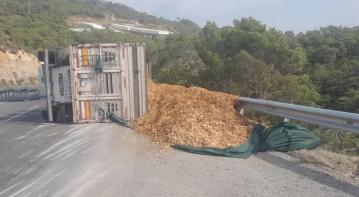 Anamur Bozdoğan Mevkiinde Toprak Yüklü Tır Devrildi ; 2 Kişi Yaralandı