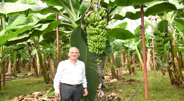 Başkan Deniz; "Muz Üreticilerimizi İthalat Karşısında Ezdirmeyeceğiz"