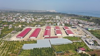 14 Yıldır Tamamlanamayan Erdemli Hali, Başkan Seçer’in Öncülüğünde Bitiriliyor