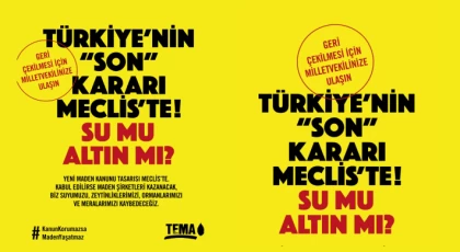 TEMA Vakfı’ndan Anamur Halkına Çağrı: “Zeytinlikler Tehlikede, Ses Verin!”