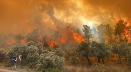 Mersin Valiliği’nden Orman Yangınlarına Karşı Acil Önlemler Talimatı