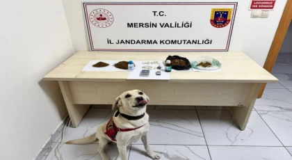 Erdemli'de Jandarmadan Uyuşturucu Operasyonu: 5 Şüpheli Tutuklandı