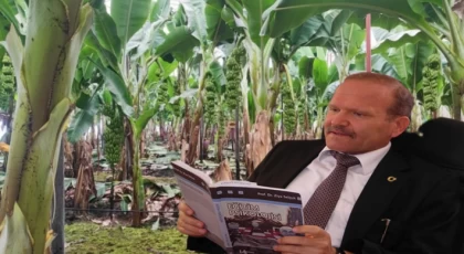 Kazım Kılınç / Eğitimci-Yazar : Muz Üreticileri Kaygılı